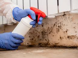 Trusted Jeffersonville, KY Mold Removal & Remediation Experts